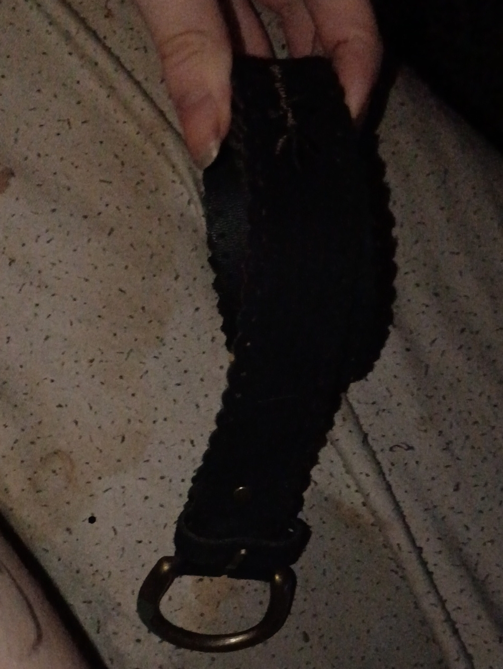 Black Belt with Brass D-Ring